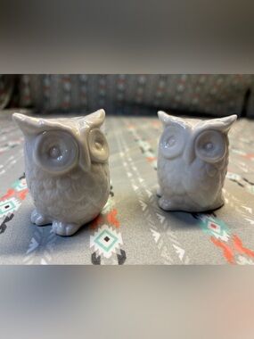 📍White Ceramic Owl Salt and Pepper Shakers